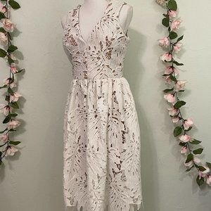 Dress the Population Lace Monstera A line Dress